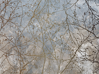 Фотообои Vetve-21: 3, VETVE 21, Wall street Фотообои Vetve-21: 3, VETVE 21, Wall street