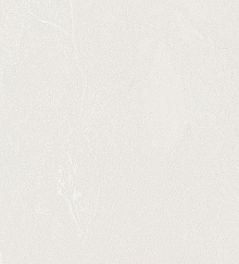 Водостойкие обои Bernardo Bartalucci Gaga  84284-1