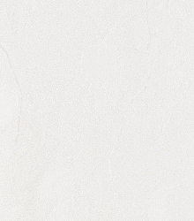 Водостойкие обои Bernardo Bartalucci Gaga  84284-17