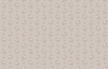 Milassa Princess PR3 012