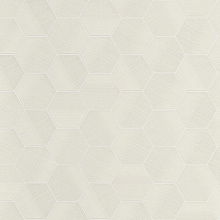 Zambaiti Lamborghini 3 12824