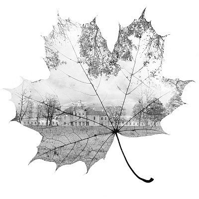 Фотообои Grayscale 2, GRAYSCALE, Wall street