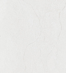 Водостойкие обои Bernardo Bartalucci Gaga  84284-10